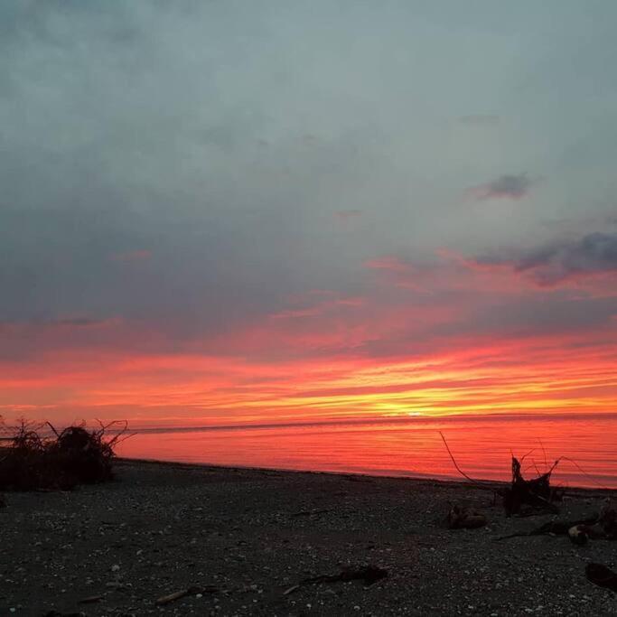 Gite Du Passant Sadm, Parc De La Gaspesie. Sainte Anne-des-Chênes Buitenkant foto
